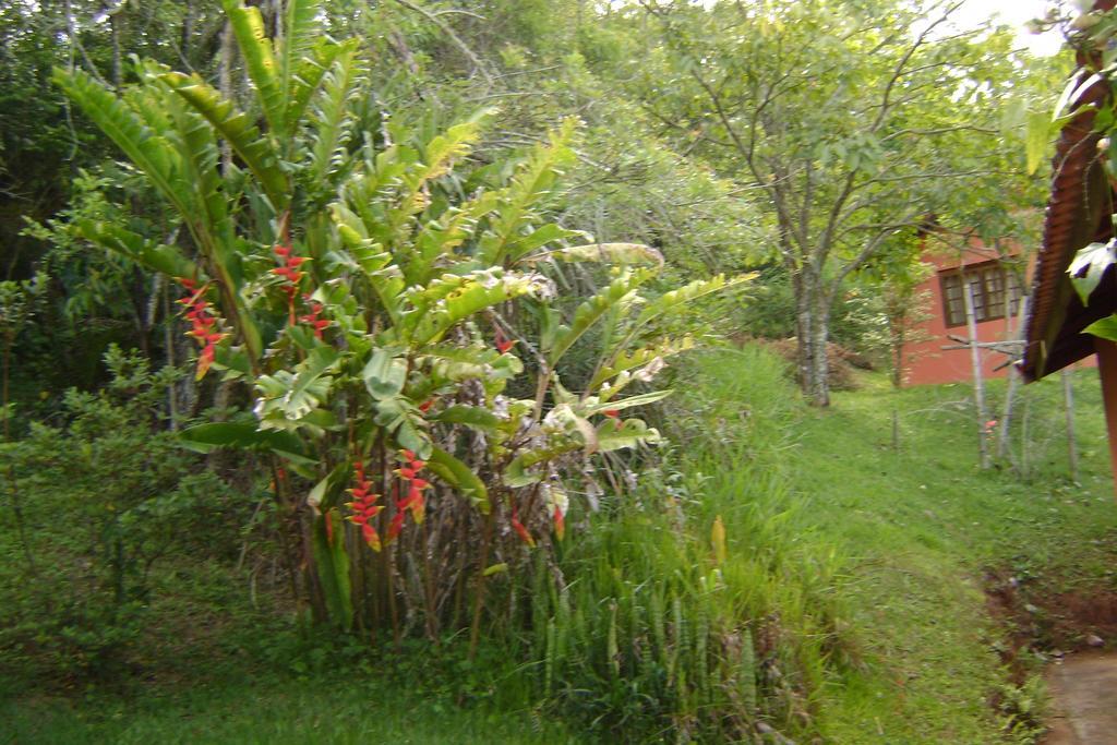 Pousada Passaredo Montanha Ibiuna Exterior photo